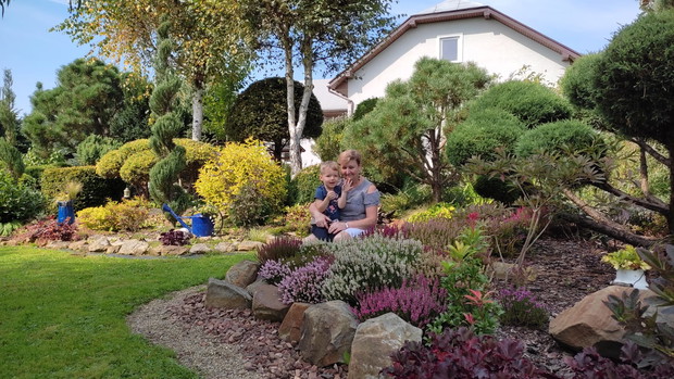 Wrzosowisko z roku na rok staje się coraz ładniejsze.