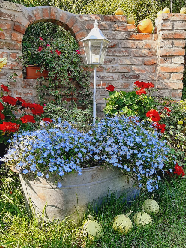 Z delikatnym akcentem Jesienii.