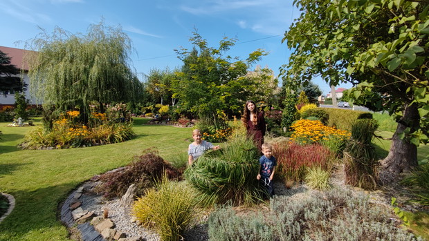 Zaplatanie traw pozwala lepiej przetrwać im zimę, a na dodatek wygląda ciekawie.