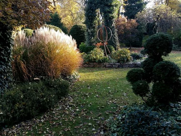 Miskant "Gracillimus"