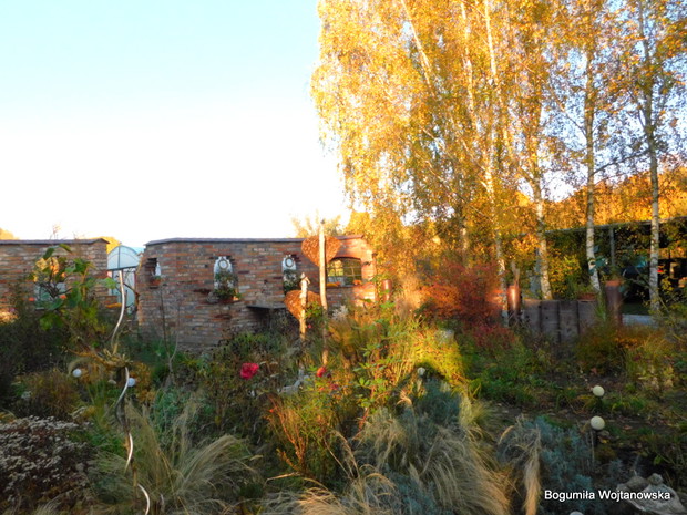 Ozdobne murki w otoczeniu brzóz
