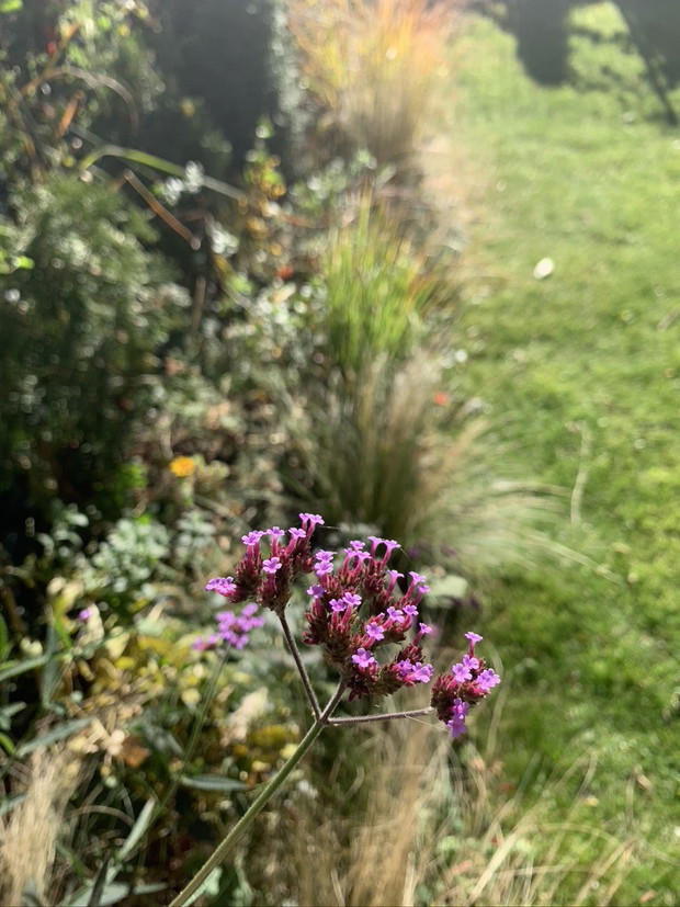 Rabata skąpana w słońcu