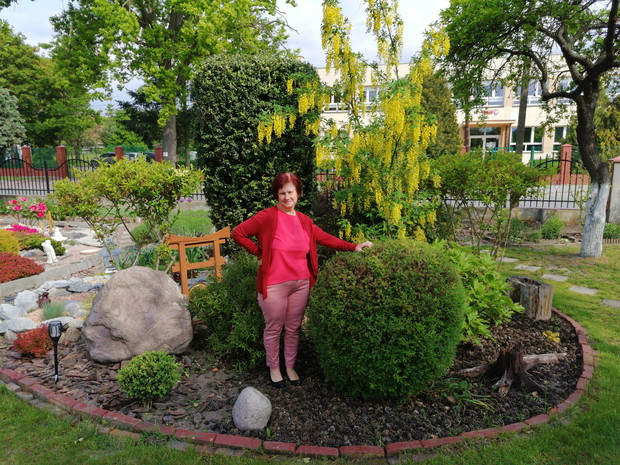 Forsycja, tawuła i Ja :)