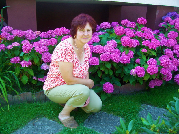 Hortensja ogrodowa i Ja :)