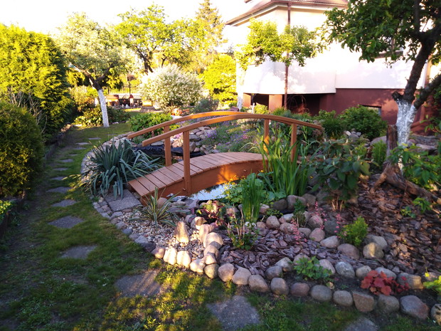 Oczko wodne i mostek