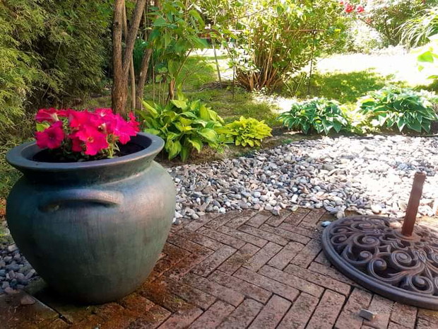 Hosty w cieniu drzew