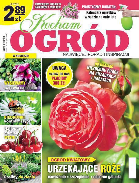 Kocham Ogród 6/2017
