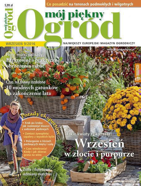 Mój Piękny Ogród 9/2016