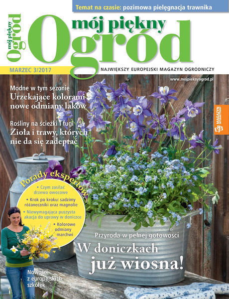 Mój Piękny Ogród 3/2017