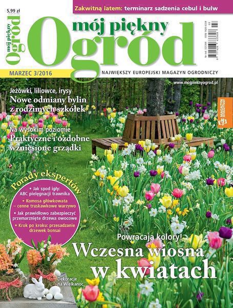 Mój Piękny Ogród 3/2016