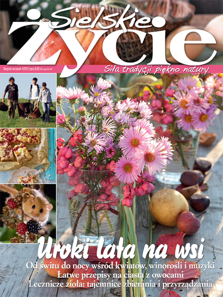 Sielskie Życie 4/2013