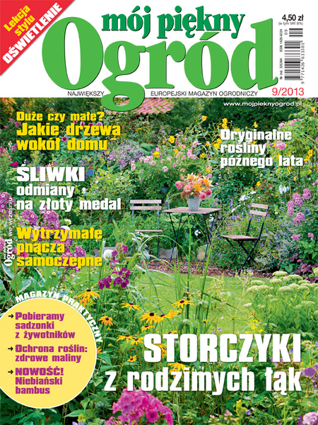 Mój Piękny Ogród 9/2013