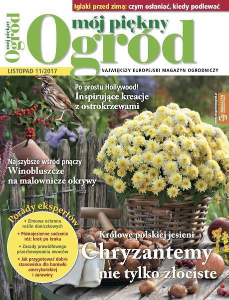 Mój Piękny Ogród 11/2017
