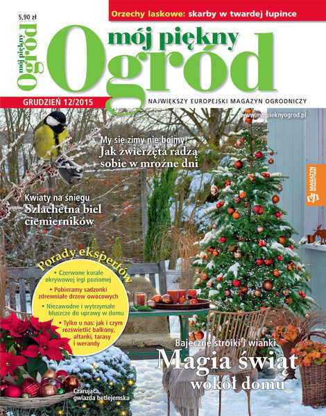 Mój Piękny Ogród 12/2015