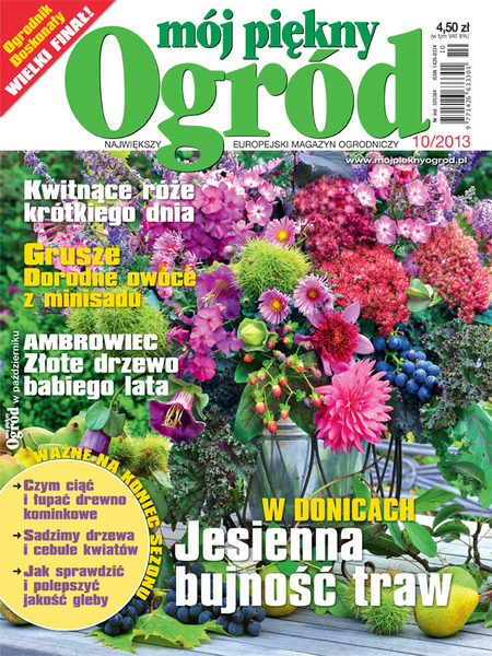Mój Piękny Ogród 10/2013