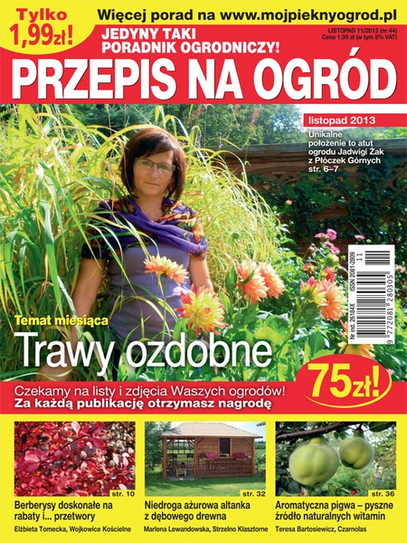 Przepis na Ogród 11/2013
