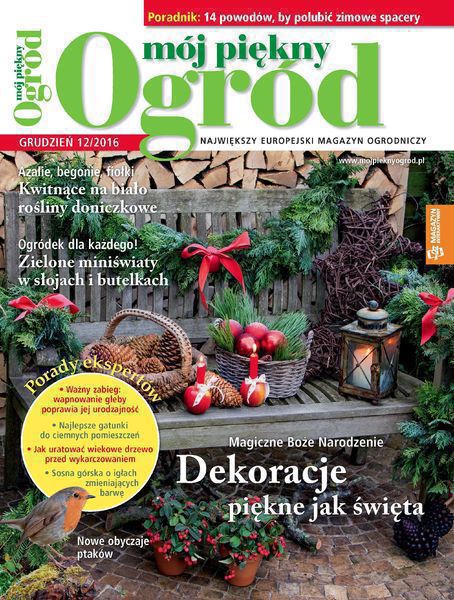 Mój Piękny Ogród 12/2016