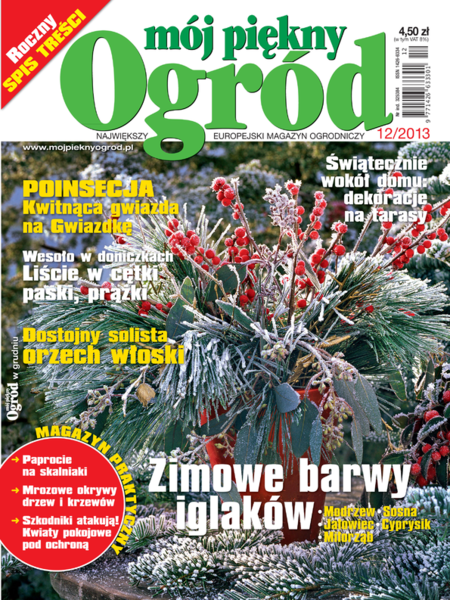 Mój Piękny Ogród 12/2013