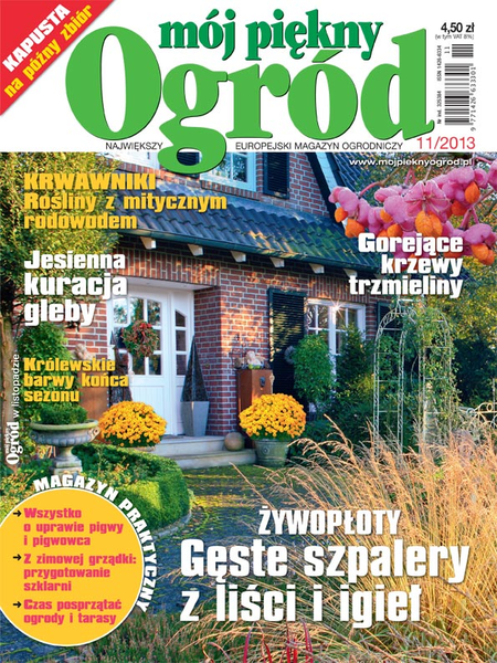 Mój Piękny Ogród 11/2013
