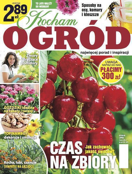 Kocham Ogród 7/2018