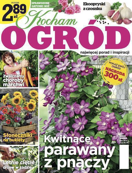Kocham Ogród 8/2018