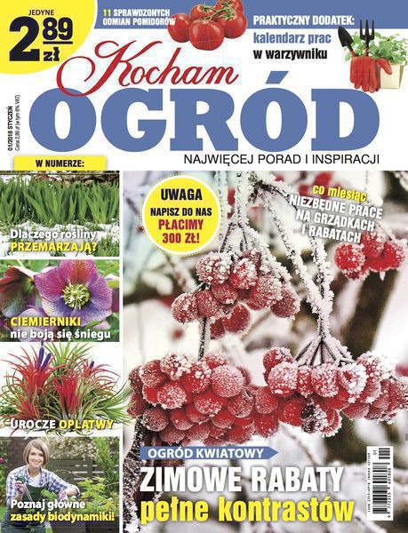 Kocham Ogród 1/2018