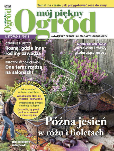 Mój Piękny Ogród 11/2018