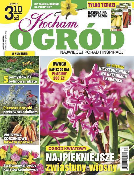 Kocham Ogród 3/2018