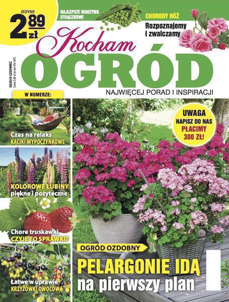 Kocham Ogród 6/2018