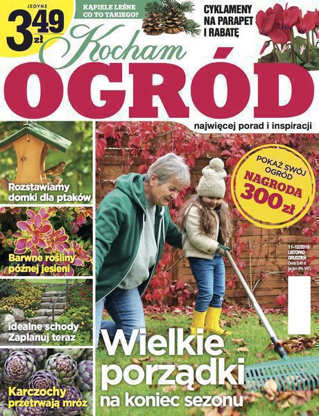 Kocham Ogród 11/2018