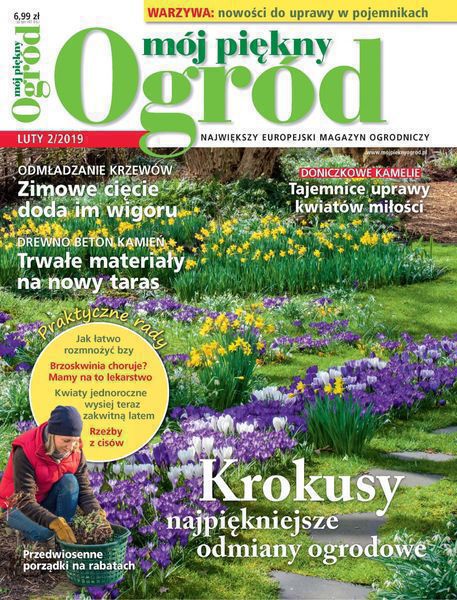 Mój Piękny Ogród 2/2019