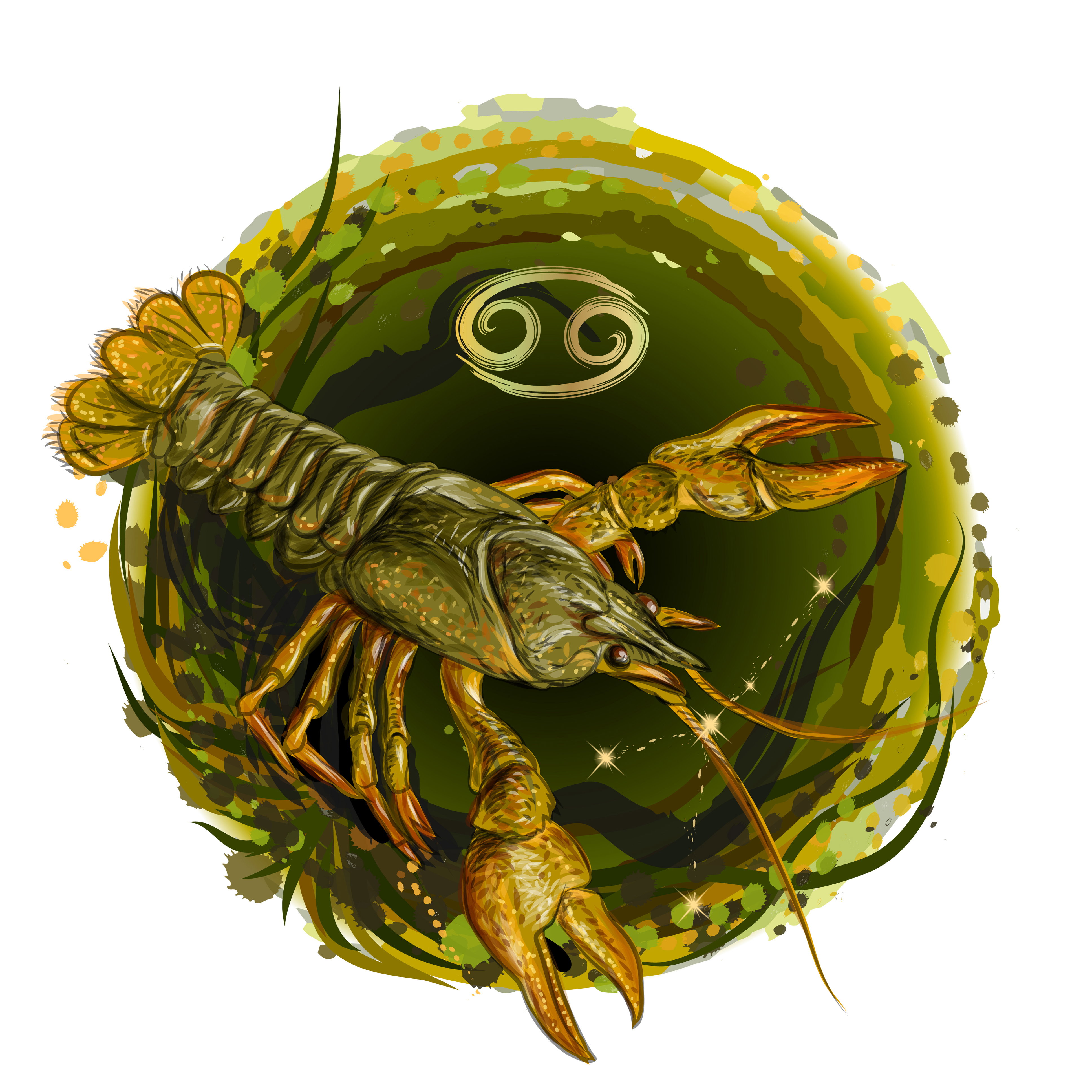 znak zodiaku Rak