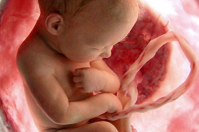 Zdjęcie dziecka w 40 tygodniu ciąży