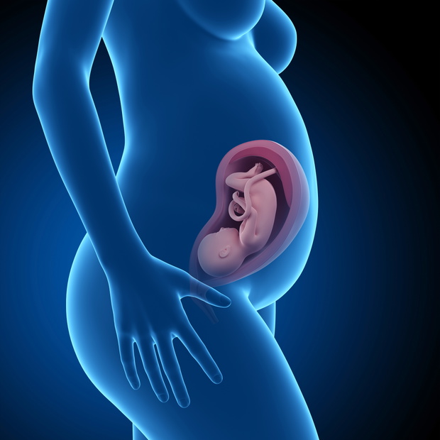 pregnant woman with visible fetus - week 31