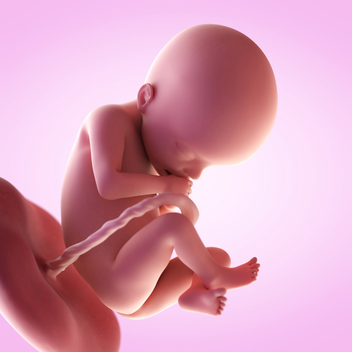 20 tydzień ciąży płód