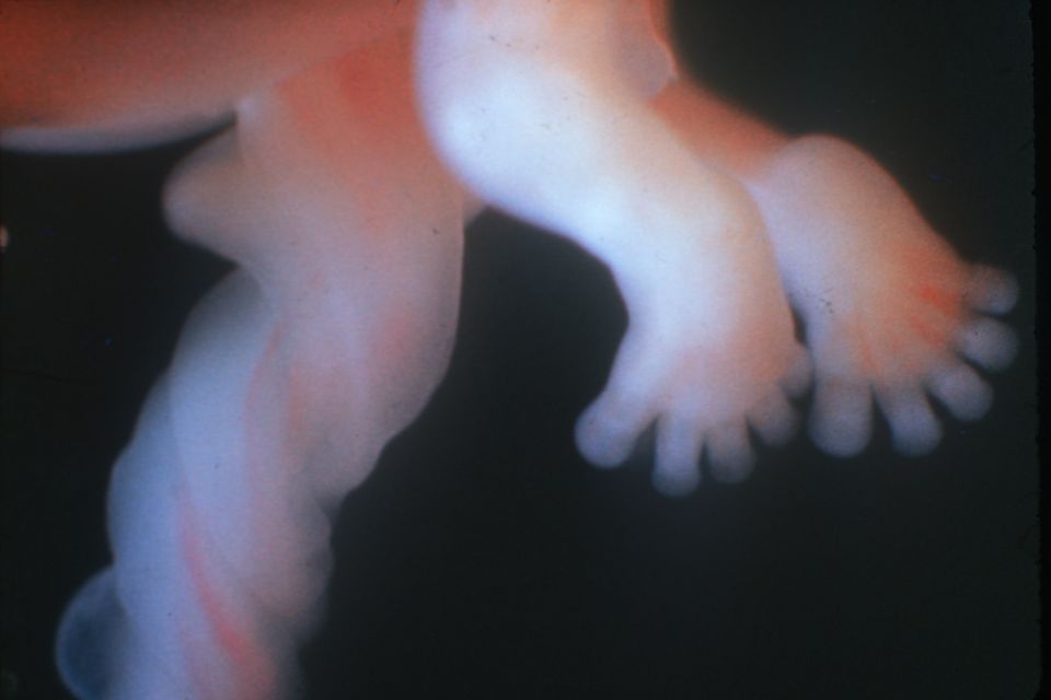01_19269