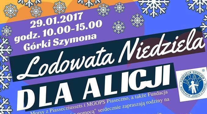 Lodowata Niedziela dla Alicji - plakat 2