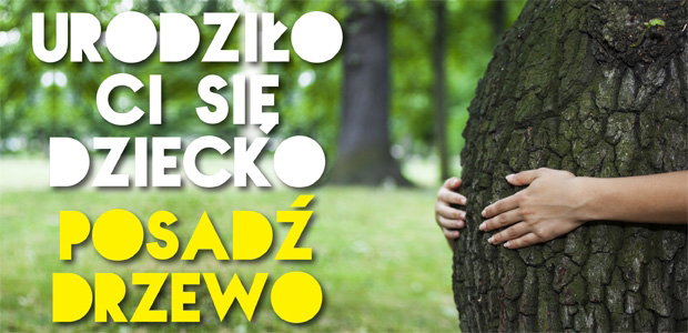 urodziło ci się dziecko - posadź drzewo, mały przyrodnik, wychowaj miłośnika przyrody, drzewa, sadzenie drzew
