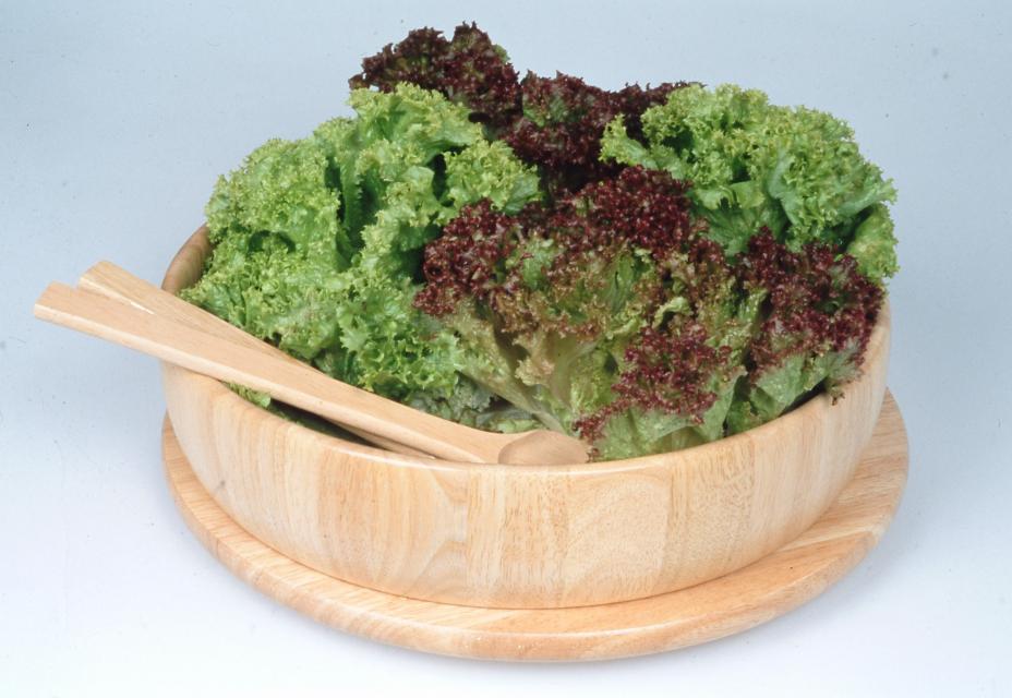 edipresse.salata kedzierzawa (05)