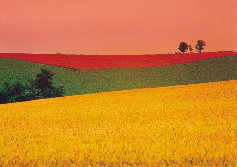 daltonizm u dzieci