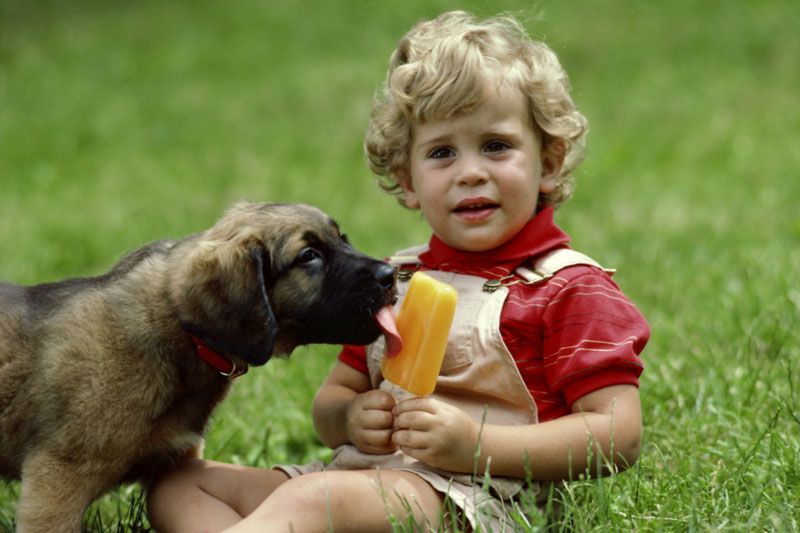 dziecko, pies, lody
