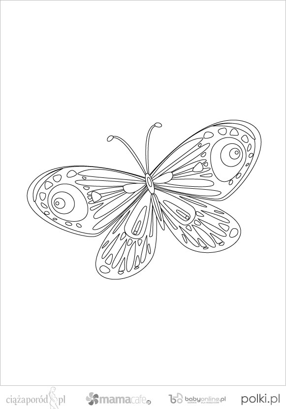 kolorowankidowydrukumotyl6-0323e8d