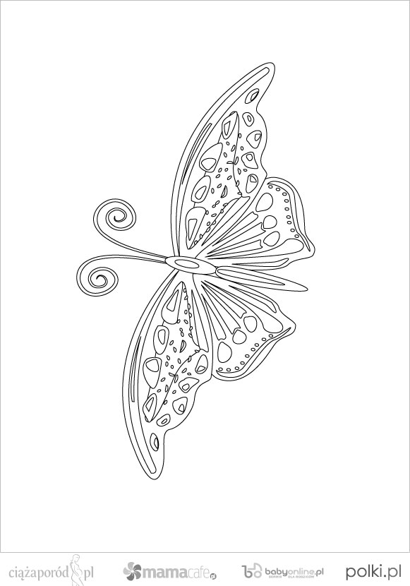 kolorowankidowydrukumotyl3-a072737