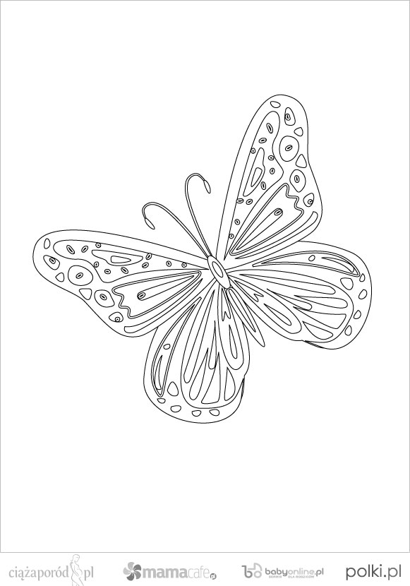 kolorowankidowydrukumotyl10-f743091