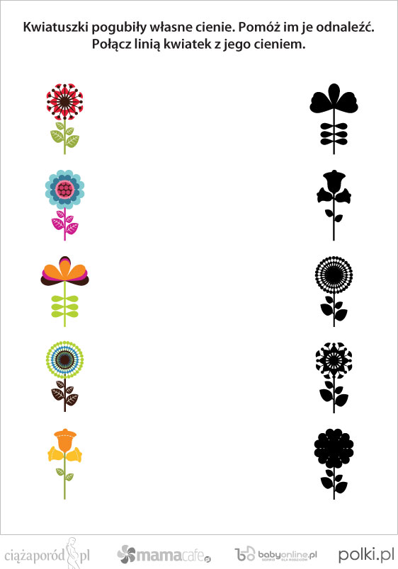 polaczcieniekwiatki1-97e4140