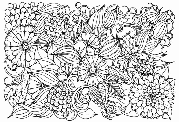 Le3V5Y-117204-4a499d2
