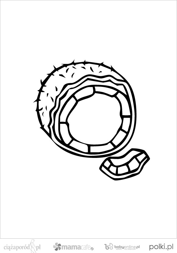 kolorowankidowydrukuowoc13-d103c69