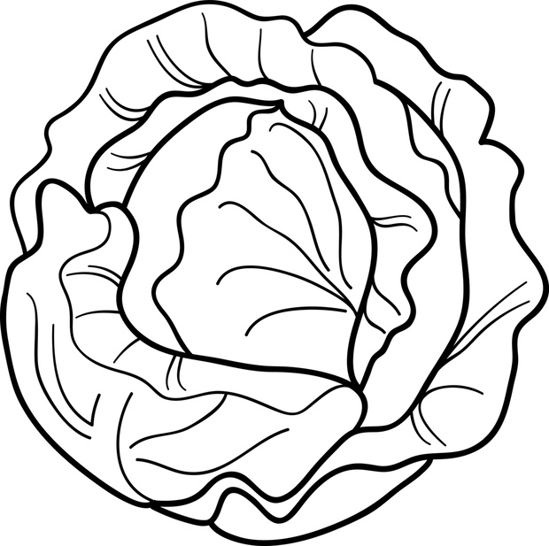 KsVUeD-113688-2b0aec0