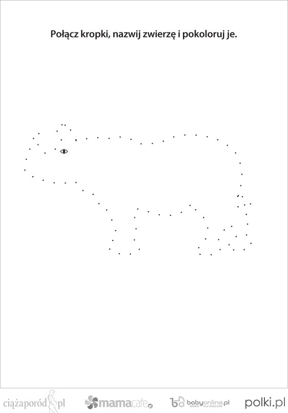 polaczkropkinosorozec-83323ba