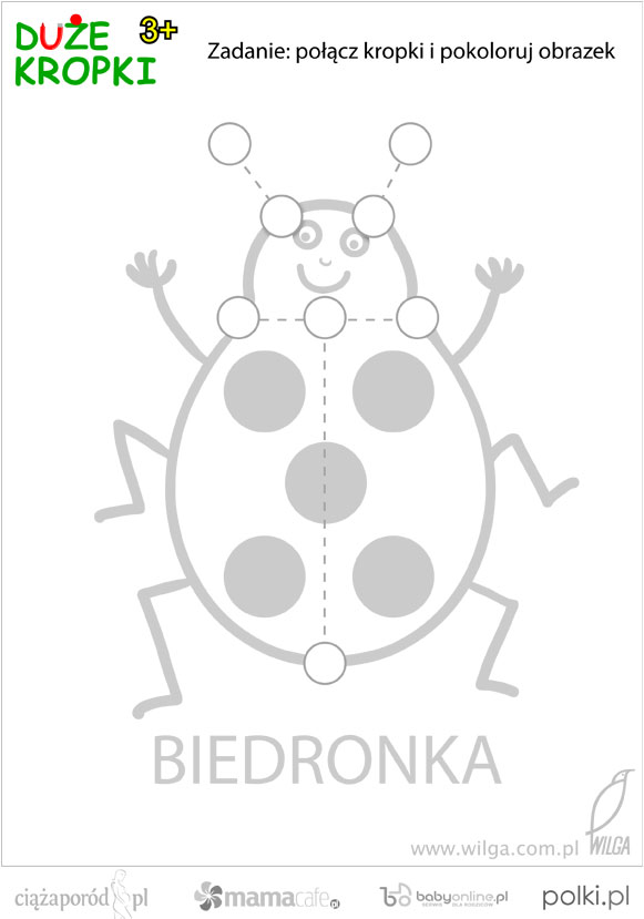 kolorowanki-do-wydruku-biedronka-2ecd028